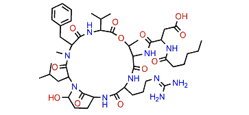 Cyanopeptolin A